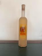 Van Gogh lege wijnfles, Enlèvement ou Envoi, Utilisé, Autres types