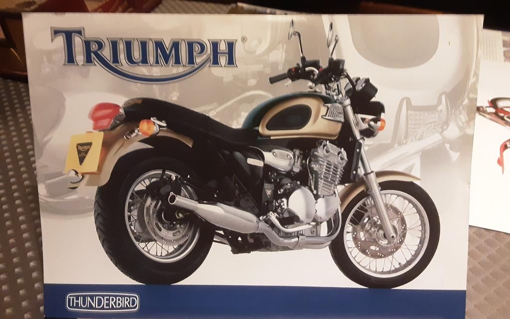 Triumph thunderbird brochure, Enlèvement ou Envoi