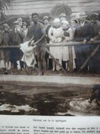 Negerdorp à l'Exposition universelle d'Anvers au Congo, Envoi, 20e siècle ou après, Utilisé