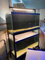 Étagère pour aquarium, Enlèvement, Utilisé, Aquarium vide