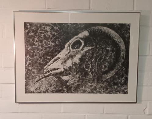 Rik Brouwers (1904-1978) - lithografie - Schedel ram, Antiek en Kunst, Kunst | Litho's en Zeefdrukken, Ophalen