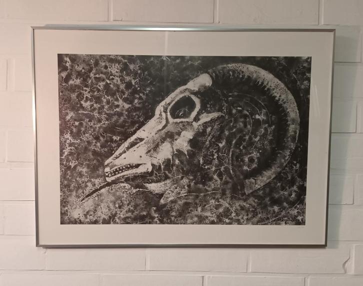 Rik Brouwers (1904-1978) - lithografie - Schedel ram, Antiek en Kunst, Kunst | Litho's en Zeefdrukken, Ophalen