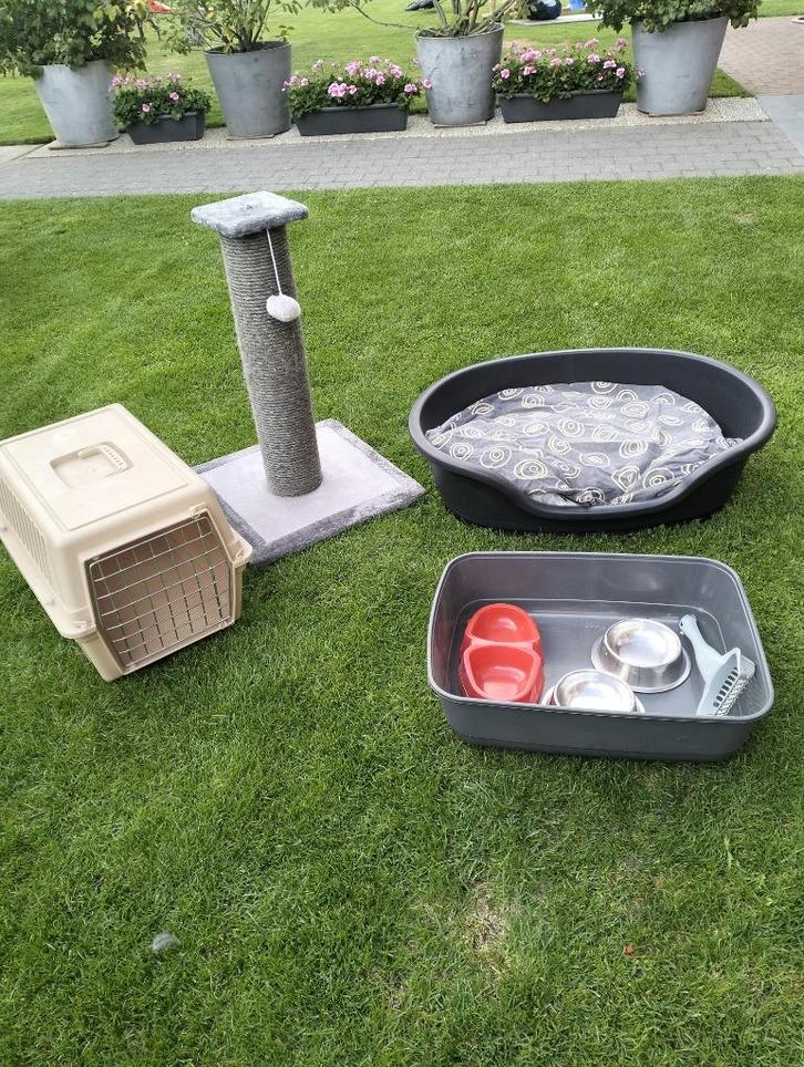 Kattenspullen, Dieren en Toebehoren, Katten-accessoires, Gebruikt, Ophalen