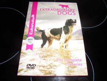 NIEUW DVD Extraordinary Dogs - The Complete TV Series
