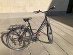 Stadsfiets Thompson (dames), 53 tot 56 cm, Ophalen, Gebruikt, Overige merken
