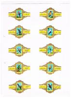 SIGARENBANDEN, Verzamelen, Verzenden, Nieuw, Sigarenbandjes