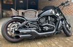‼️‼️‼️Night rod special  ‼️‼️‼️, Motoren, Particulier