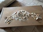 Schelp met kleine en grote schelpen in ‘t zand, Ophalen of Verzenden, Zo goed als nieuw, Beige