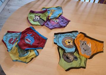 Oefenbroekjes Zoocchini  beschikbaar voor biedingen