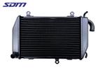 RADIATEUR EAU Honda GL 1800 (01-1970/-) (19060-MCA-A61), Motos, Pièces | Autre, Utilisé