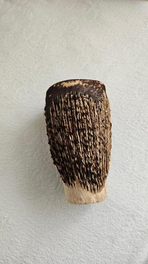 Shekere (Traditionele West-Afrikaanse shaker), Antiek en Kunst, Kunst | Beelden en Houtsnijwerken, Ophalen of Verzenden