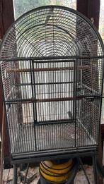 Cage, Dieren en Toebehoren, Ophalen, Gebruikt, Metaal, Vogelkooi