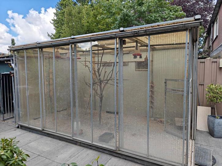 Grote volière / kattenren 4x2 meter, Dieren en Toebehoren, Vogels | Hokken en Kooien, Volière, Aluminium, Ophalen