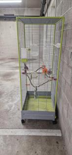 Aviary te koop, Dieren en Toebehoren, Ophalen, Gebruikt, Metaal, Volière