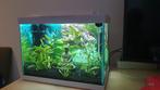 Aquarium 20 liter, Ophalen of Verzenden, Zo goed als nieuw, Leeg aquarium