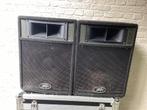 Speakers Peavy ST12, Audio, Tv en Foto, Luidsprekerboxen, Overige merken, Gebruikt, Ophalen of Verzenden, 60 tot 120 watt