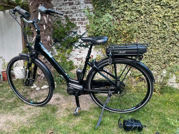 Gigantische elektrische fiets beschikbaar voor biedingen