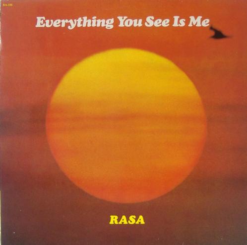 LP - Rasa - Everything you see is me, CD & DVD, Vinyles | Pop, Enlèvement ou Envoi