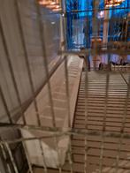 Draadkooien, Dieren en Toebehoren, Ophalen