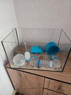 Cage complète hamster nain, Animaux & Accessoires, Enlèvement, Comme neuf, Cage, Hamster
