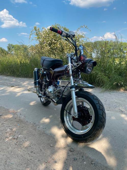 Speciale luxe DAX 50CC klasse B in Bordeaux: NIEUWSTAAT!, Fietsen en Brommers, Brommers | Honda, Nieuw, Overige modellen, Klasse B (45 km/u)