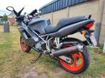 Te koop: Ducati ST4S, Motoren, 2 cilinders, Sportuitlaat, Meer dan 35 kW, 996 cc