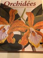 Orchideeën Door de tuinbouwer beschouwd als een van de moois, Ophalen of Verzenden, Kamerplanten, Zo goed als nieuw, Mark Griffiths