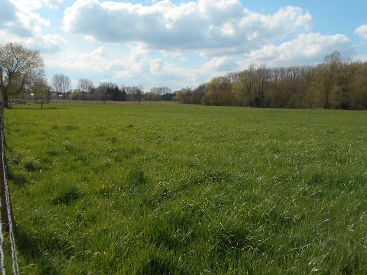 Weide /Landbouwgrond te koop, Immo, Gronden en Bouwgronden, 1500 m² of meer, Verkoop zonder makelaar