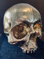 Crâne moulé en plâtre, doré à la feuille, Antiquités & Art, Enlèvement ou Envoi