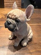 Nieuw Bulldog-beeld van 15 cm, Ophalen of Verzenden, Nieuw, Dier