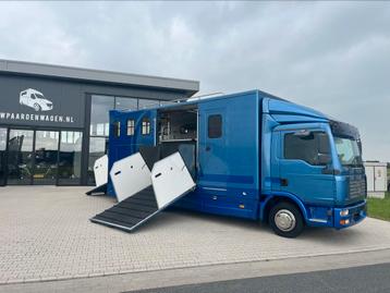 MAN 5 paards paardencamionette living alu bodem beschikbaar voor biedingen