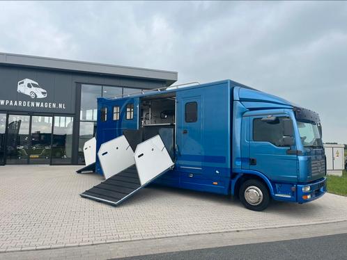 MAN 5 paards paardencamionette living alu bodem, Dieren en Toebehoren, Paarden en Pony's | Trailers en Aanhangwagens, Ophalen