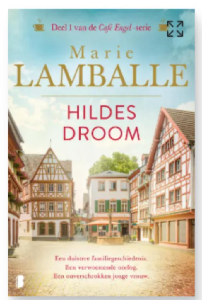 Boek Hildes droom - Marie Lamballe, Boeken, Romans, Zo goed als nieuw, Verzenden