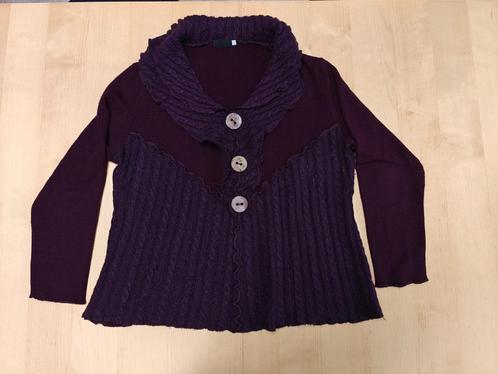Paarse trui maat 40, Kleding | Dames, Truien en Vesten, Gedragen, Maat 38/40 (M), Paars, Ophalen of Verzenden