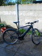 Prophete e-bike, Fietsen en Brommers, Versnellingen, Overige merken, Gebruikt, Ophalen of Verzenden