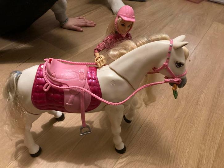 Cheval Barbie articulé avec Barbie classique, Enfants & Bébés, Jouets | Poupées, Utilisé, Barbie, Enlèvement