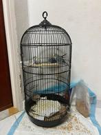 Vogel kooi, Dieren en Toebehoren, Ophalen, Zo goed als nieuw