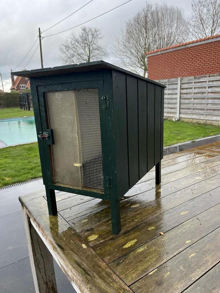 gekleurd schuilhuisje voor botvink, Animaux & Accessoires, Oiseaux | Accessoires, Utilisé, Enlèvement