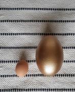 Leeg Emoe ei goud, Verzenden, Zo goed als nieuw