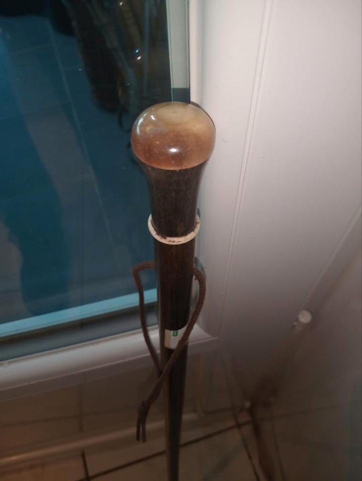 Antieke wandelstok met hoornpommel, Diversen, Wandelstokken, Ophalen of Verzenden