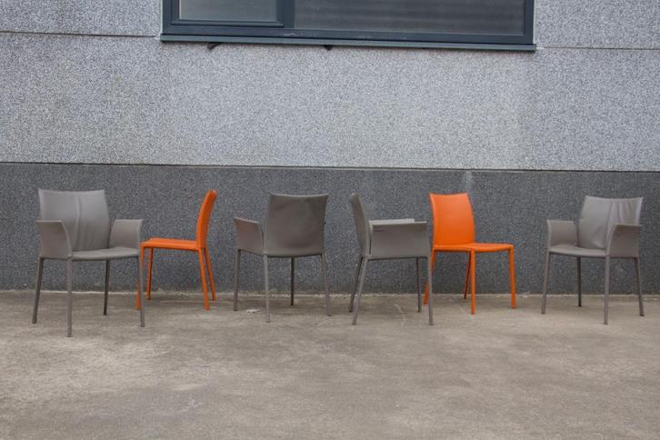Roberto Barbieri, ZANOTTA dining chair set, Huis en Inrichting, Stoelen, Zo goed als nieuw, Vijf, Zes of meer stoelen, Leer, Overige kleuren