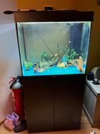 Aquarium juwel 200l, Dieren en Toebehoren, Ophalen, Gebruikt