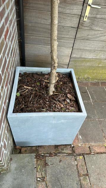 Planten bakken in natuursteen look  , 60/60 cm 4 stuks, Tuin en Terras, Ophalen, Zo goed als nieuw