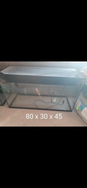 Aquarium met lamp, Dieren en Toebehoren, Ophalen, Zo goed als nieuw