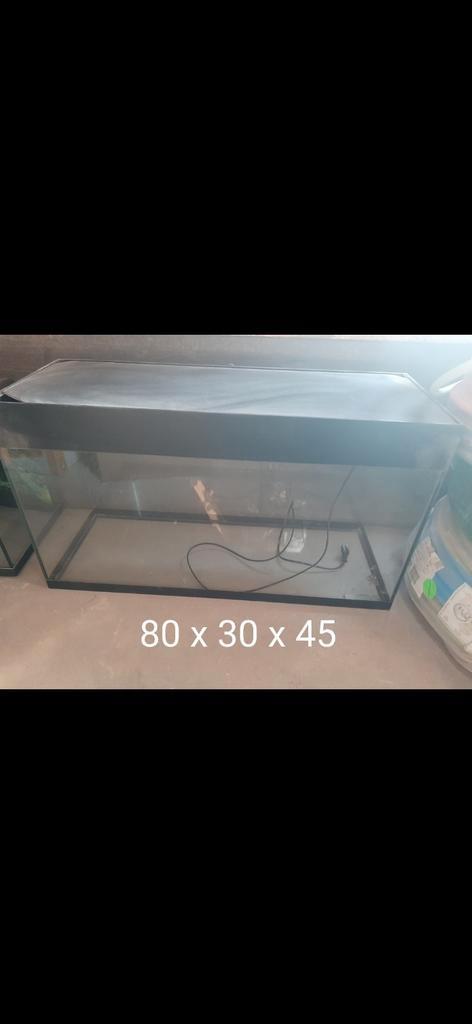 Aquarium met lamp, Dieren en Toebehoren, Vissen | Aquaria en Toebehoren, Zo goed als nieuw, Ophalen