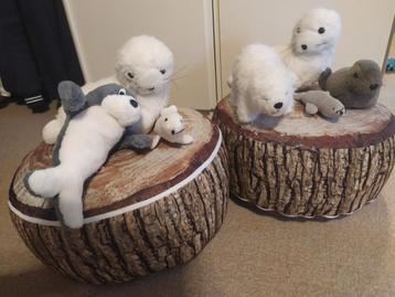 Mooie collectie pooldieren +1 tashanger beschikbaar voor biedingen