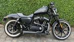 Fer à repasser Harley Davidson Sports Star XL833N, Motos, Motos | Harley-Davidson, Plus de 35 kW, Chopper, Particulier, 4 cylindres