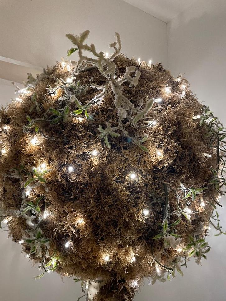 Gezellig bloemstuk uit mos, Divers, Noël, Enlèvement