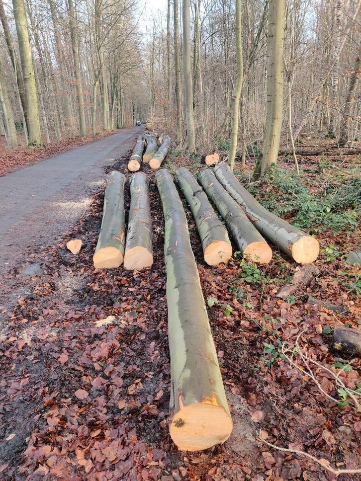 brandhout te koop, Tuin en Terras, Brandhout, Blokken, Eikenhout, 6 m³ of meer, Ophalen of Verzenden