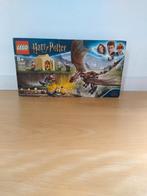 Lego Harry Potter set 75946 - Hongaarse Hoornstaart Toversch, Kinderen en Baby's, Ophalen, Zo goed als nieuw, Lego